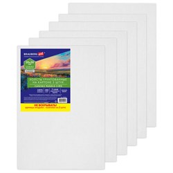 Холсты на картоне НАБОР 5 штук (20х30 см), хлопок, 280 г/м2, грунт, BRAUBERG ART CLASSIC, 192651 - фото 16562741