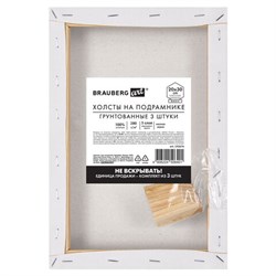 Холсты на подрамнике, набор 3 штуки, BRAUBERG ART BASIC, 20х30 см, 280 г/м2, хлопок, грунт, 192676 - фото 16562744