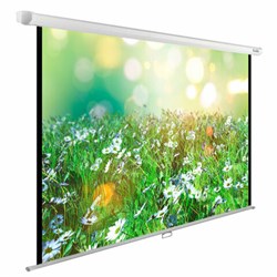 Экран Cactus WallExpert CS-PSWE-200x200-WT, 200x200 см, 1:1, настенно-потолочный, белый - фото 16563506