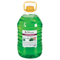 Мыло жидкое с антибактериальным эффектом 5 л МЕЛОДИЯ "Семь трав", ПЭТ, 606986 - фото 16567371