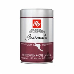 Кофе в зернах ILLY "Gvatemala" ИТАЛИЯ, 250 г, в жестяной банке, арабика 100%, ИТАЛИЯ, 7007 - фото 16567897