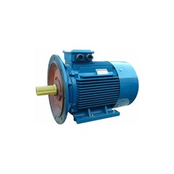 Электродвигатель 5АИ 225 М4 55/1500 IM 2001 - фото 16577981