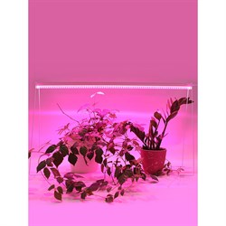 Светодиодный линейный светильник для растений GLANZEN RPD-0900-14-fito - фото 16591424