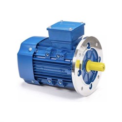 Электродвигатель 5АИ 63 В4 0.37/1500 IM 3081 - фото 16591704