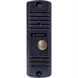 Вызывная панель ACTIVISION AVC-305 PAL - фото 16592721