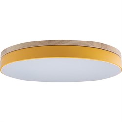 Накладной светильник LOFT IT Axel - фото 16595477