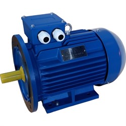 Электродвигатель ЭМШ AIS56М2-2 У1 - фото 16599152