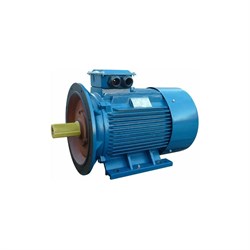 Электродвигатель 5АИ 250 S4 76/1500 IM 2001 - фото 16606138