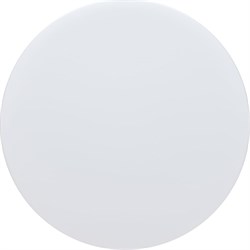 Потолочный светодиодный светильник Lightstar 225264 - фото 16613402