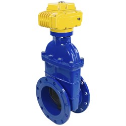 Клиновая задвижка DN.ru 30ч939р -250-10-GGG50-EPDM-F4-BLUE - фото 16613737