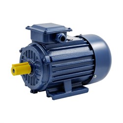 Электродвигатель ТМ БЭЗ АИP 160M6 IM1081 - фото 16614922