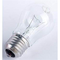 Лампа ОНЛАЙТ OI-A-60-230-E27-CL - фото 16627724