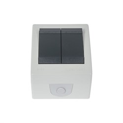 Двухклавишный выключатель Aling-conel POWER - фото 16646845