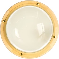 Светильник ЭЛЕТЕХ Терма 1101 НББ 03-100-009 - фото 16654661