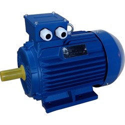 Электродвигатель ЭМШ AIS132S1-2У1 - фото 16660554