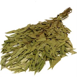 Эвкалиптовый веник Банная линия 10-666 - фото 16664312