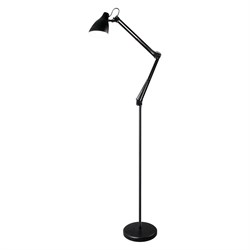 Напольный светильник Camelion KD-332 C02 - фото 16668060