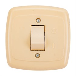 Одноклавишный выключатель ООО Ливны-Электро С1-002 УХЛ 4 - фото 16675943