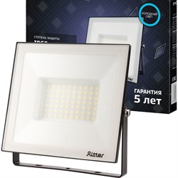 Светодиодный прожектор Ritter PROFI - фото 16693463