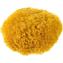 Средняя натуральная морская губка STMDECOR M87 - фото 16699939