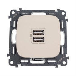 Зарядное устройство Legrand Valena Allure - фото 16709789