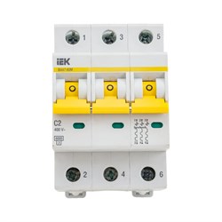 Автоматический выключатель IEK ВА47-60M - фото 16710353