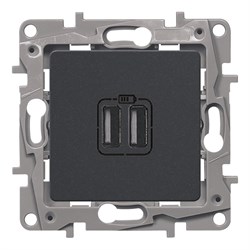 Зарядное устройство Legrand Etika - фото 16711922