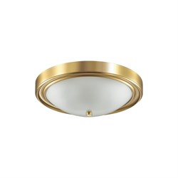 Настенно-потолочный светильник Lumion NINA - фото 16719550