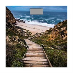 Весы Добрыня DO 3006F - фото 16733612