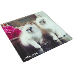 Напольные электронные весы Аксинья КС-6003 - фото 16737829