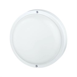 Светодиодный светильник TOKOV ELECTRIC ДПО-R1-12-4К-WIN-IP65 - фото 16739618