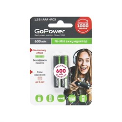 Бытовой аккумулятор GoPower HR03 - фото 16745260