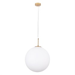 Подвесной светильник Arte Lamp A1564SP-1PB - фото 16750324