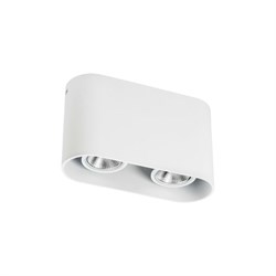 Накладной светильник Lightstar 214866 - фото 16752170