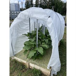 Высокий парник Агротекс 32.01.66.03.00.000.0004.0000.00 - фото 16765857