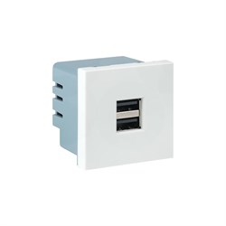 Розетка EKF E2MR2-20USB-10 - фото 16781817