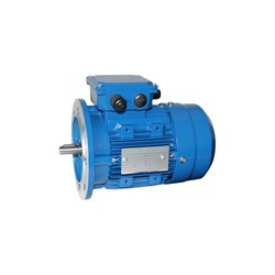 Электродвигатель 5АИ 56 А4 0.12/1500 IM 3081 - фото 16782810