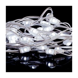 Светодиодный модуль MAKSILED ML-M1SNE-OL-2835-CW-LP - фото 16783288