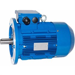 Электродвигатель 5АИ 100 L4 4/1500 IM 3081 - фото 16786132