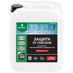 Антисептик для минеральных поверхностей PROSEPT FUNGI STOP - фото 16787401