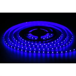 Светодиодная лента MAKSILED ML-R60-2835-B-LP-S - фото 16791377