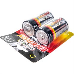 Батарейка Трофи LR20-2BL - фото 16796471