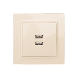 Двухместная usb розетка EKF Минск - фото 16798111