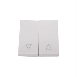 Клавиши для 121109, 121110, 141109, 141110 ЭРА 12620315  Б0047859 - фото 16803887