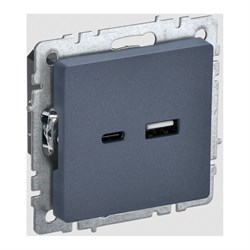 Розетка usb IEK Brite - фото 16807507