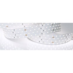 Светодиодная лента Arlight RT-A280-36mm 24V White6000 - фото 16809901