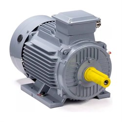 Общепромышленный электродвигатель ESQ PR 100 S4 GST-Б1-S12-IE2 - фото 16810191