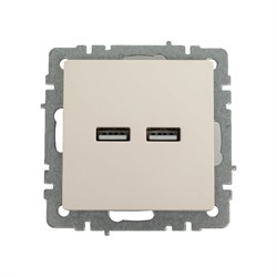 Розетка usb IEK Brite - фото 16814623