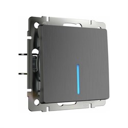 Проходной одноклавишный выключатель WERKEL W1112104 - фото 16835014