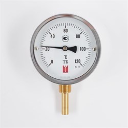 Биметаллический термометр BD ТБ 100Р/64 - фото 16840038